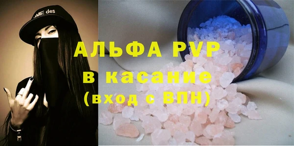 крисы Баксан