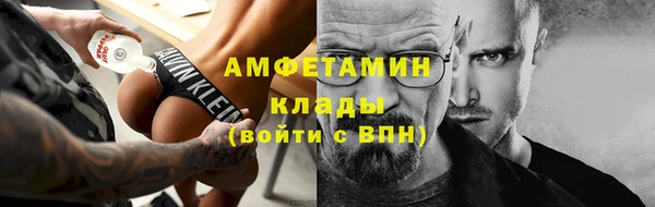 крисы Баксан