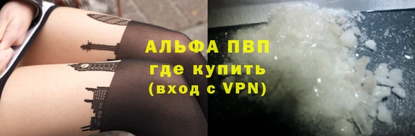 крисы Баксан