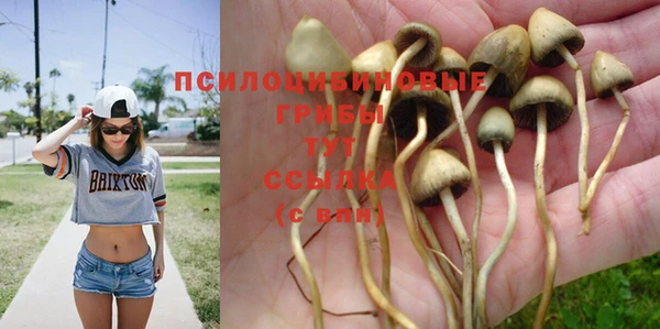 меф Балахна
