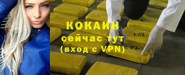 крисы Баксан